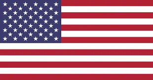 american flag-Troy
